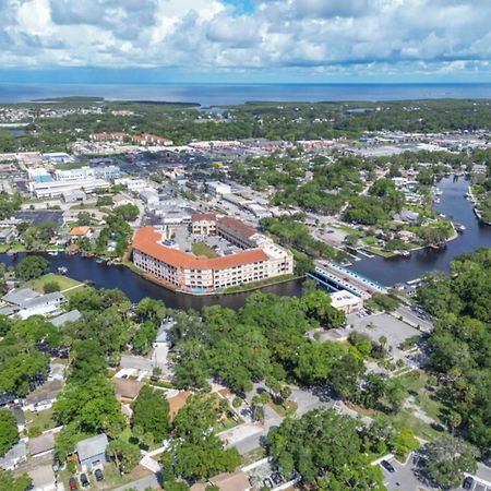 Walk Everywhere! 1-Bedroom Gem In Downtown Hub New Port Richey Eksteriør bilde