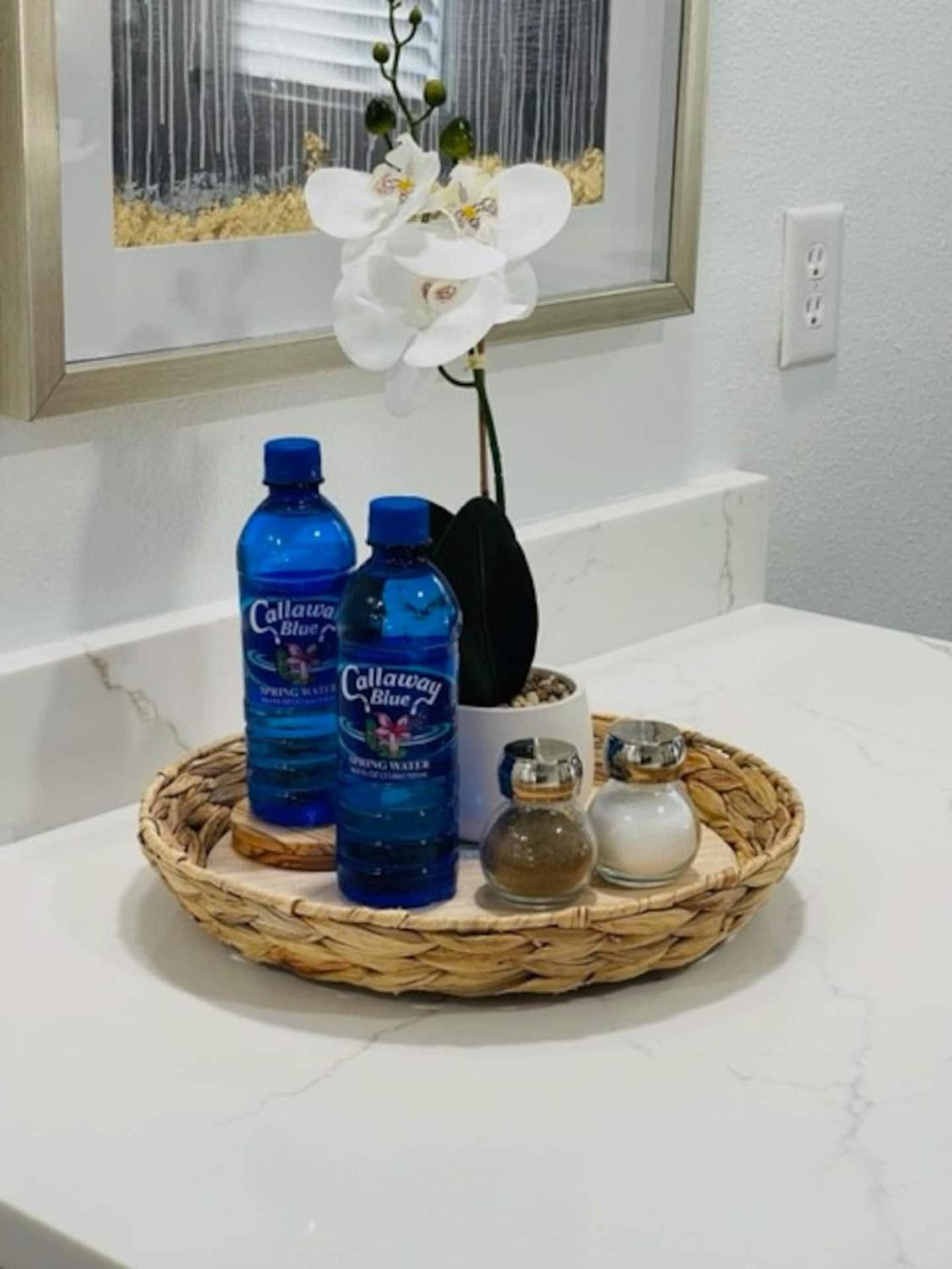 Walk Everywhere! 1-Bedroom Gem In Downtown Hub New Port Richey Eksteriør bilde